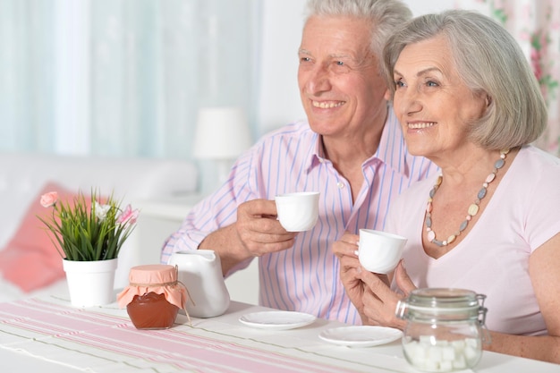Retrato de la feliz pareja senior bebiendo té