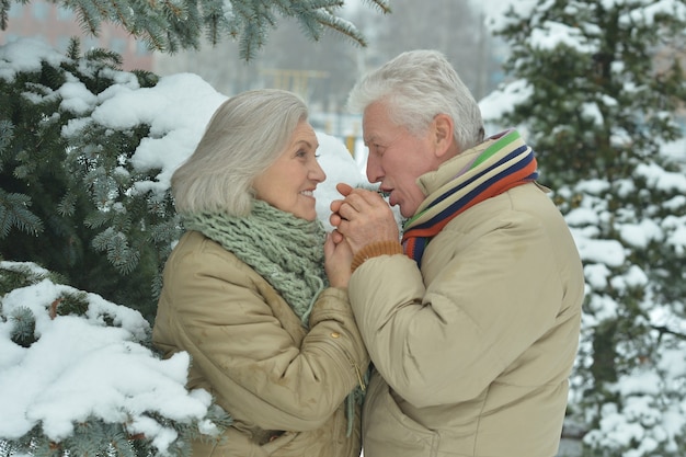 Retrato de una feliz pareja senior en invierno al aire libre