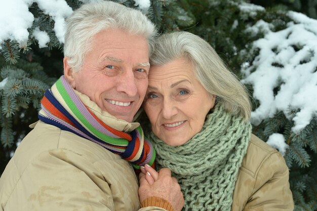 Retrato de una feliz pareja senior en invierno al aire libre