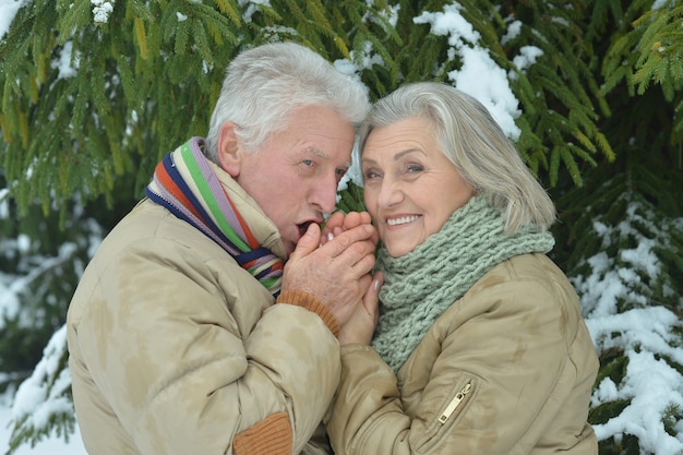 Retrato de una feliz pareja senior en invierno al aire libre