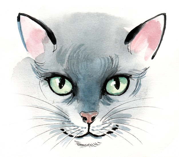 Retrato de gato gris. Dibujo a tinta y acuarela