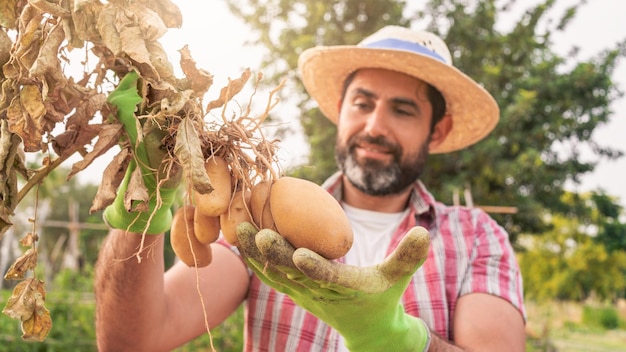 Retrato de un granjero barbudo moderno con patatas en las manos mirando a la cámara