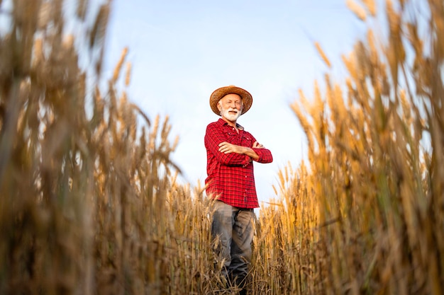 Retrato de granjero mayor con los brazos cruzados y de pie en el campo de trigo dorado