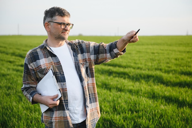 Retrato de granjero senior de pie en el campo de trigo examinando la cosecha durante el día