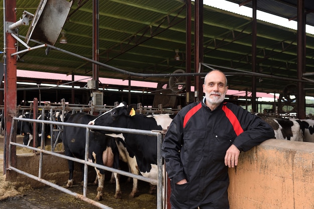 Foto retrato de un granjero con vacas