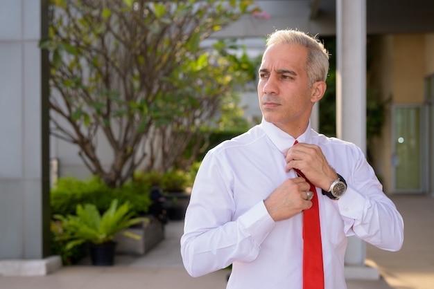 Retrato de guapo empresario persa con canas en las calles de la ciudad al aire libre