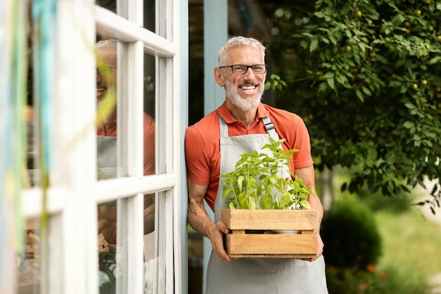 Retrato de un guapo jardinero maduro que lleva plantas en una caja fuera del invernadero