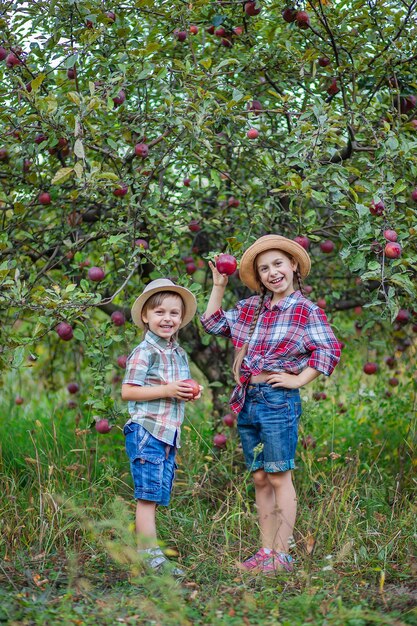 Retrato de un hermano y una hermana en el jardín con manzanas rojas Un niño y una niña están en otoño