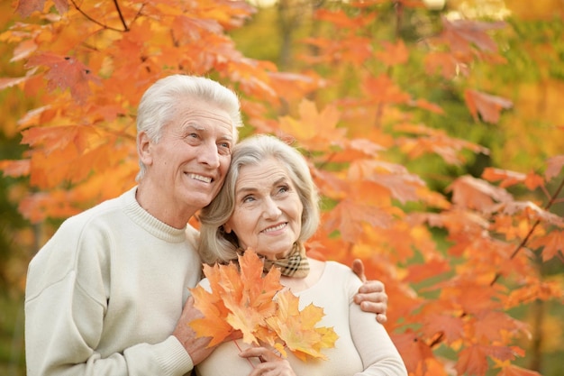 retrato de una hermosa y feliz pareja senior con hojas de otoño