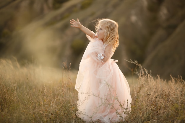 Retrato de una hermosa niña princesa en un vestido rosa. Posando en un campo al atardecer