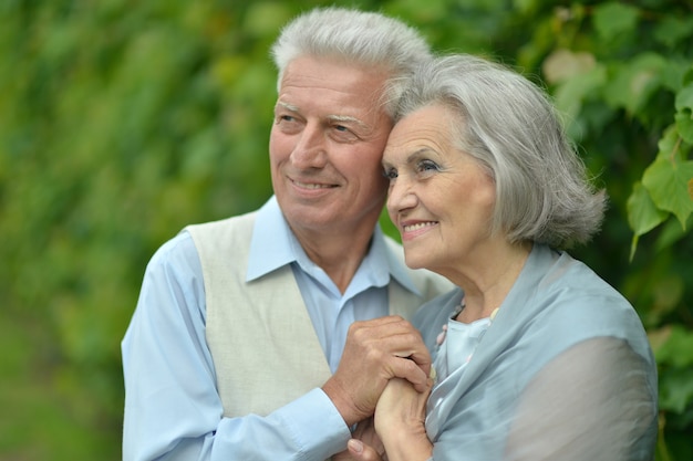 Retrato de hermosa pareja de ancianos al aire libre en el parque de verano