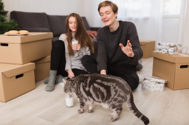 Retrato de una hermosa pareja joven sentada en el suelo en casa y mirando felizmente al gato que bebe leche cerca