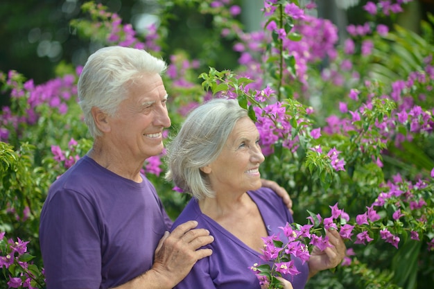 Retrato de hermosa pareja senior al aire libre en el parque de verano