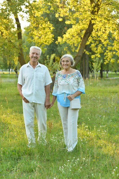 Retrato de hermosa pareja senior feliz en el parque