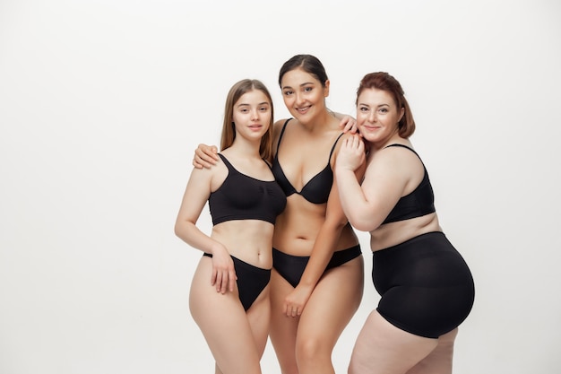 Retrato de hermosas mujeres jóvenes con diferentes formas posando en rosa