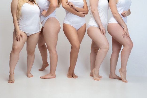 Retrato de hermosas mujeres jóvenes de talla grande posando sobre fondo blanco