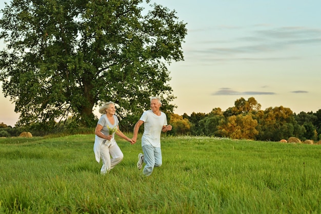 Retrato, de, hermoso, caucásico, pareja mayor, funcionamiento, en, campo