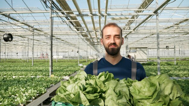 Retrato de hombre agricultor trabajando en invernadero cosechando ensalada fresca orgánica cultivo de hortalizas de nutrición desarrollando una industria de agronomía saludable. Concepto de cultivo hidropónico