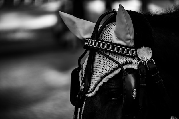 Foto retrato de un hombre a caballo