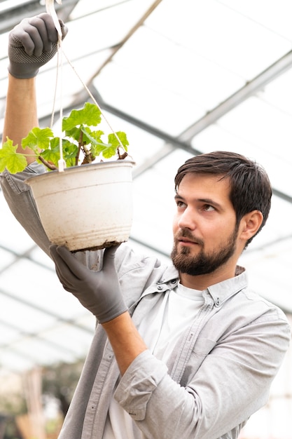 Foto retrato, hombre, cultivo de plantas