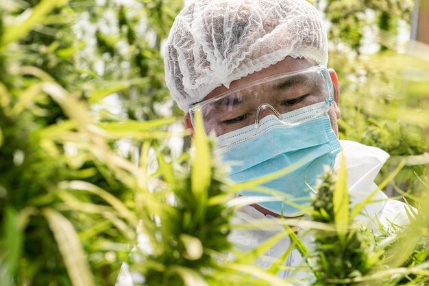 Foto retrato de un hombre con una planta en el campo