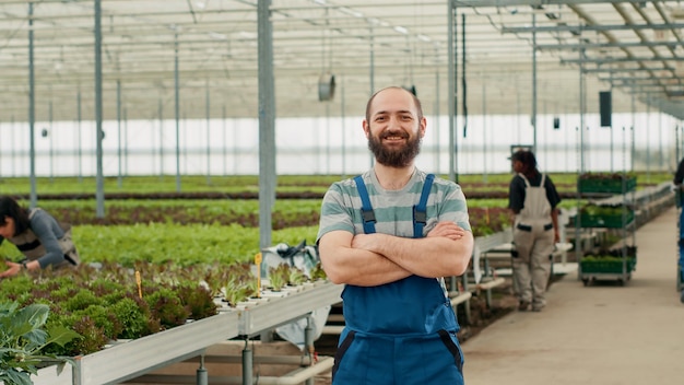 Retrato de un hombre sonriente posando con los brazos cruzados en un invernadero con diversos trabajadores empujando cajas de lechuga fresca. Trabajador agrícola orgánico que se ve feliz en el negocio local de bio vegetales.