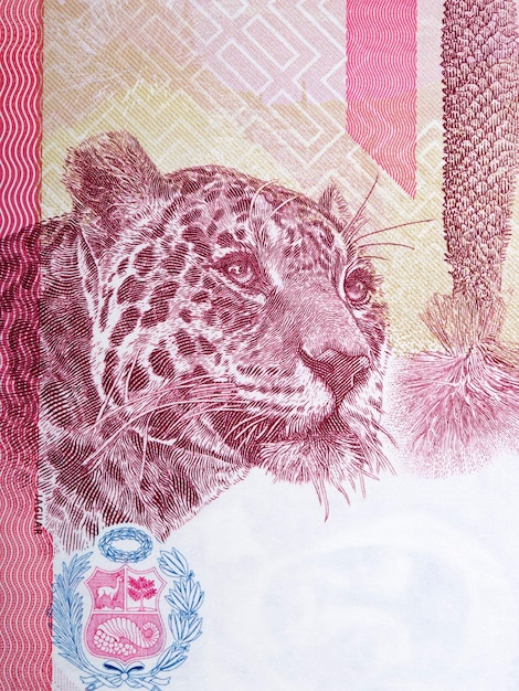 Retrato de un jaguar de moneda peruana