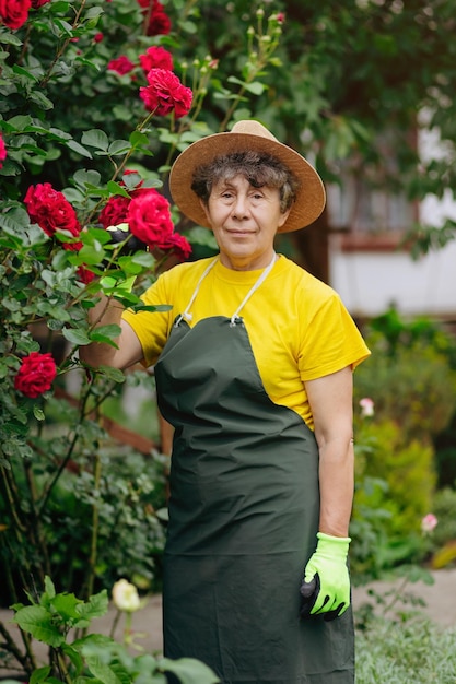 Retrato de una jardinera senior con sombrero trabajando en su jardín con rosas El concepto de jardinería creciendo y cuidando flores y plantas