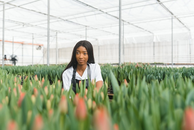 Retrato de jardinero africano bastante joven en invernadero