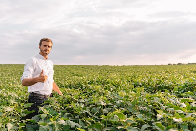 Retrato de joven agricultor en campo de soja.