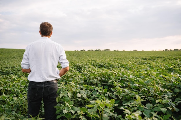 Retrato de joven agricultor en campo de soja.