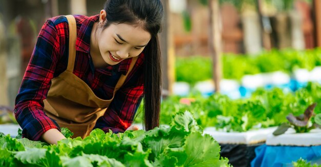 Retrato de una joven agricultora asiática feliz trabajando con ensalada de lechuga de roble verde fresca vegetales hidropónicos orgánicos en el vivero Negocio y concepto de vegetales hidropónicos orgánicos