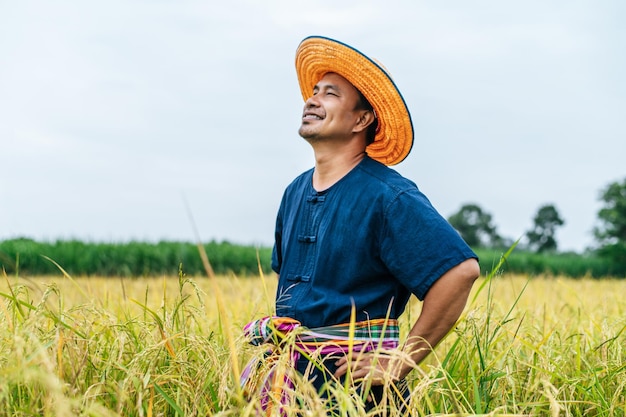 Retrato joven apuesto agricultor en campo de arroz, con sombrero de paja, de pie en la cintura