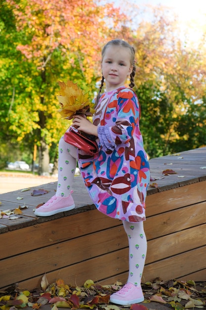 Retrato de una joven bonita parada en el parque de otoño y sostiene un ramo de hojas de arce amarillas