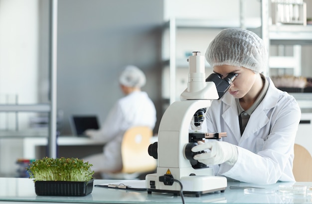 Retrato de joven científica mirando al microscopio mientras estudia muestras de plantas en el laboratorio de biotecnología, espacio de copia