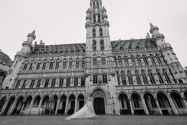 Retrato de una joven encantadora con un vestido exuberante caminando por el parque y el Gran Palacio (Bruselas)