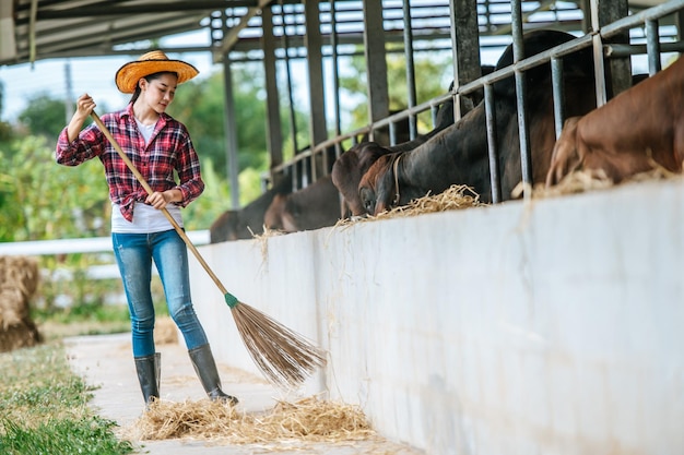 Retrato de una joven y feliz campesina asiática barriendo el suelo en una granja de vacas Industria agrícola gente agrícola tecnología y concepto de cría de animales