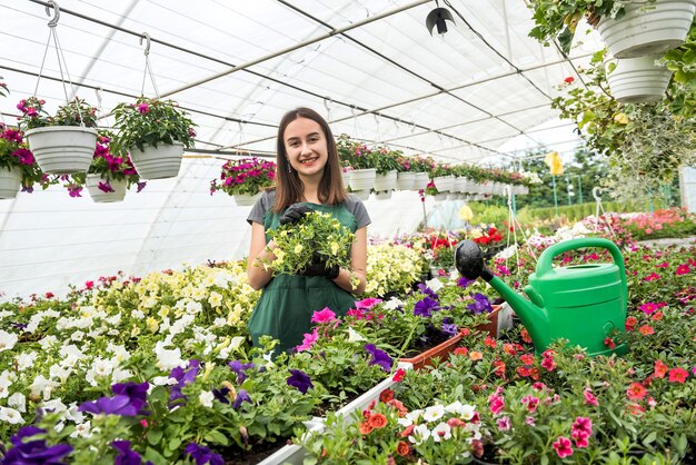 Retrato de joven jardinero en delantal trabajando con plantas en macetas en invernadero