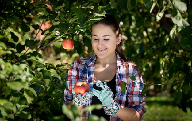 Retrato de joven mujer sonriente recogiendo manzanas en el jardín