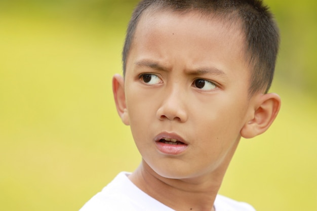 Retrato de joven niño en campo verde