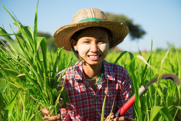 Retrato de una joven sonriente con pintura facial cortando plantas en el campo