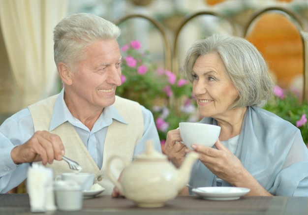 Retrato de una linda pareja de ancianos bebiendo té