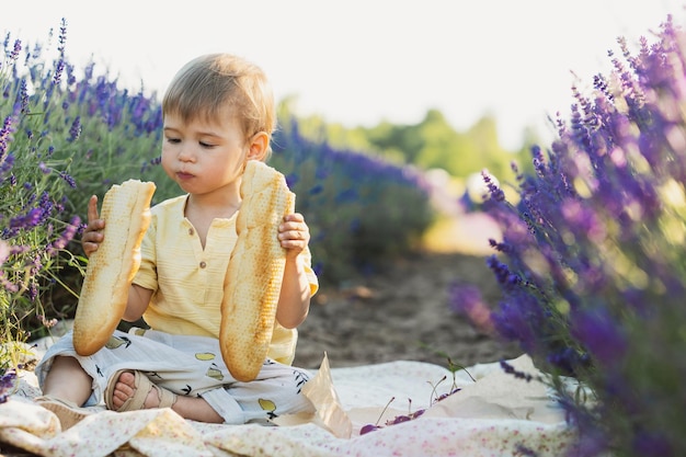 Retrato de un lindo bebé hambriento comiendo pan durante un picnic en un campo de lavanda