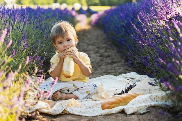 Retrato de un lindo bebé hambriento comiendo pan durante un picnic en un campo de lavanda