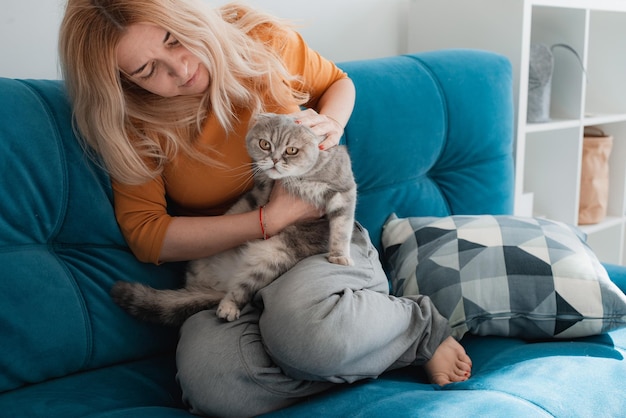 Retrato de un lindo gato doméstico de pura raza acostado con el dueño de la casa