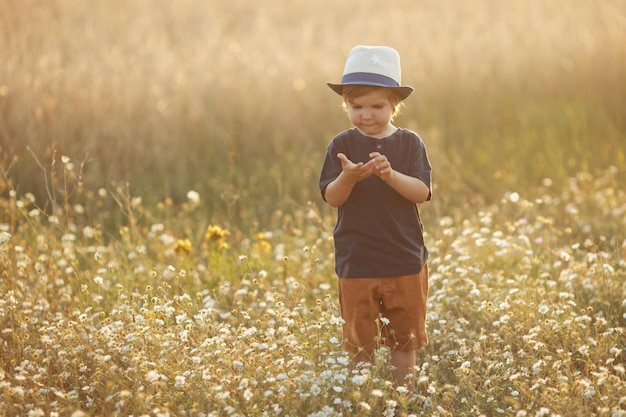 Retrato de un lindo niño caucásico de 3 años con sombrero de paja caminando y jugando en el campo de la manzanilla