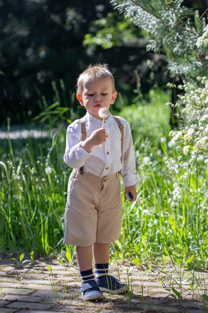 Retrato de un lindo niño caucásico que sopla dientes de león en el parque en verano con enfoque suave y enfoque selectivo