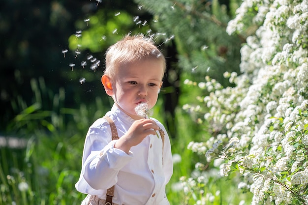 Retrato de un lindo niño caucásico que sopla dientes de león en el parque en verano con enfoque suave y enfoque selectivo