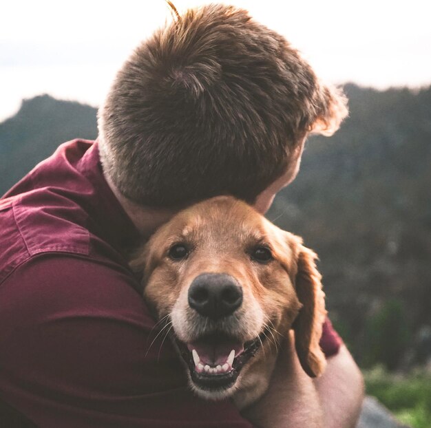 El retrato de un lindo perro
