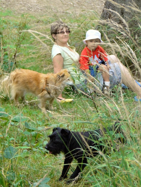 Foto retrato de madre e hijo sentados con perros en un campo de hierba